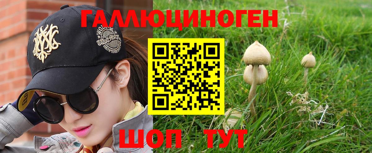 Псилоцибиновые грибы Cubensis Губкинский